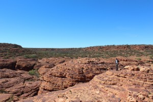Kings Canyon & Alice Springs-060